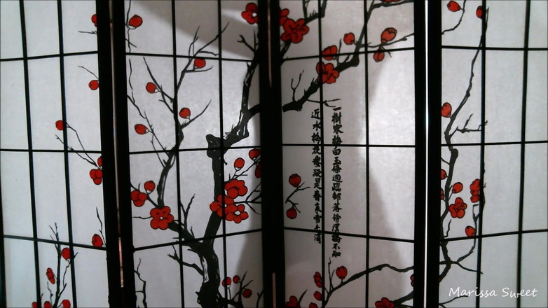 Marissa Sweet: シルエットのティーズ/ボール支配