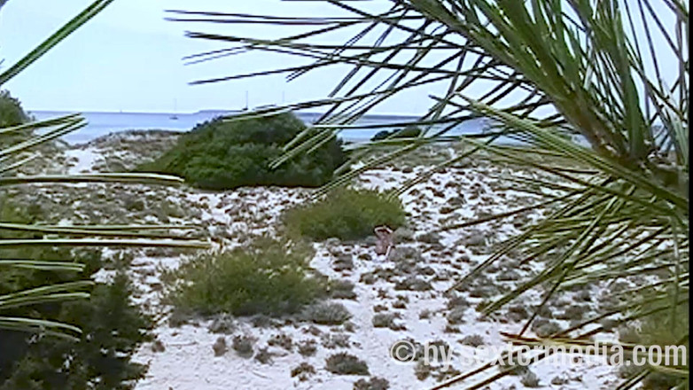 Sextermedia by Pete: MILF Sexy Nuda Sulla Spiaggia Nudista