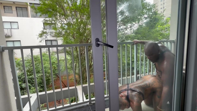 Maicon Vinicius: Papi Black fute o mulțime de transsexuali cu pula lui...