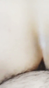 ホームポルノ