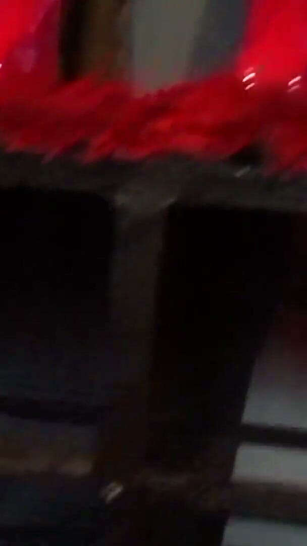 Solo Austria: Sudut Pandang Puteri Puteri Bulu Merah yang Angkuh Meludah dan...