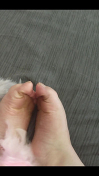My Soft Soles