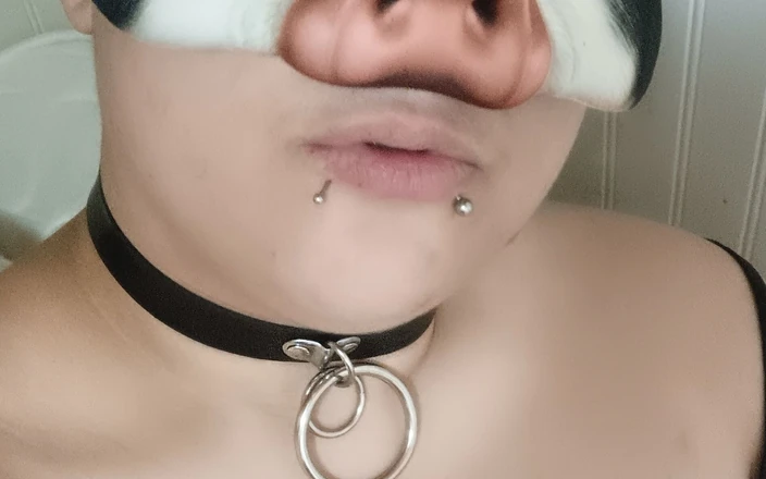 PrinceDez: Ms Piggy Rating a Cock for the First Time!