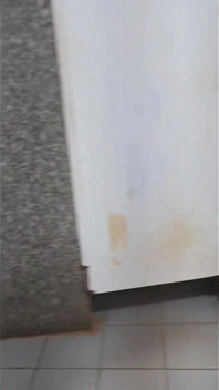 Aproveitei O Banheiro Público Para Urinar Por Ele Todo.