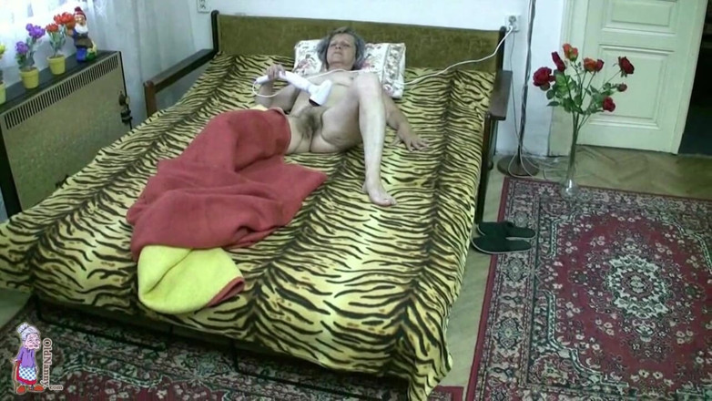 Aged Love: Yaşlı dadı - Blanka bir kedi adam tarafından yalanıyor