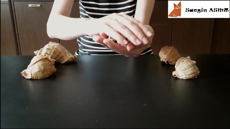 Saegin: 2[ASMR] Rubbing together and scratching seashells (no talking)