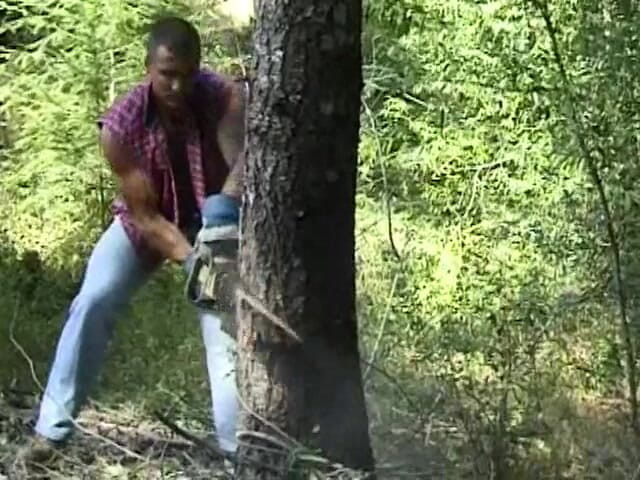 Mustang: Lumber jacked tội ác chống lại bản chất giám đốc cắt 1