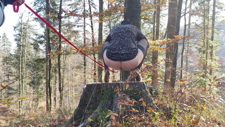 Toilet Mommy: Nel Disperato Tentativo Di Fare Pipì All'aperto Deve Fare Pipì...