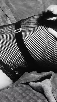 Gray Echoes Presentation