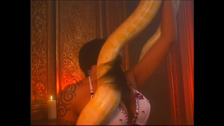 MCG Empire: Erkek delisi çıldırdı