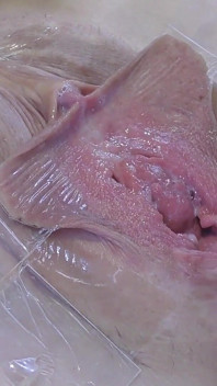 3 Yalayan Vagina, Çok Yakın Olmayan Yerlerde