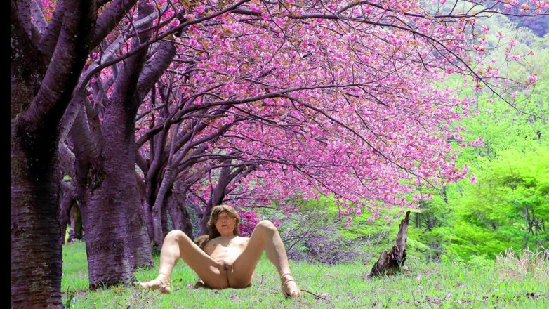 Pai-chan: Blooming Spring