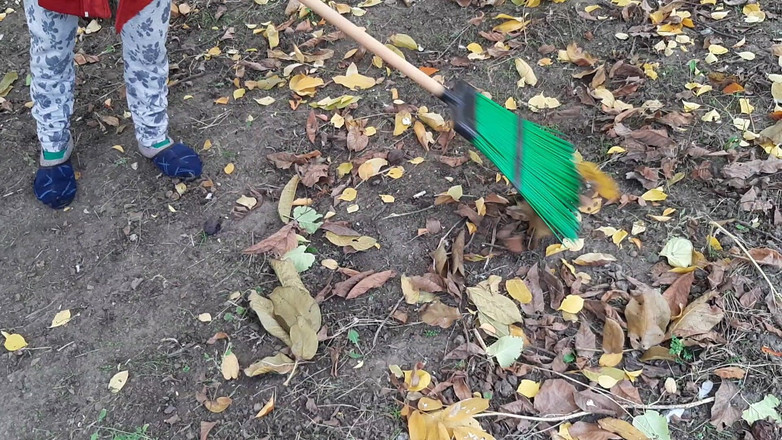 Lesbian-illusion: Das förstermädchen und ich hatten einen guten fick auf der...