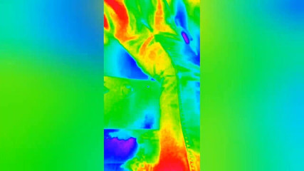 davidwolfmodel69: Živé sezení Davydwolf69 NSFW