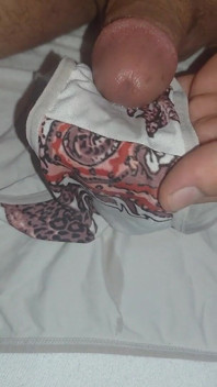 I Ejaculate Into the Panties My Wife Is Going to Wear While She Is in the Bathroom.