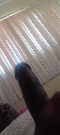 Hello Hello Dick