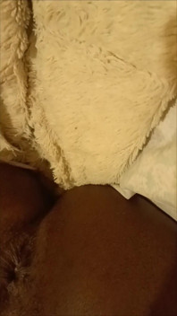 Playing with My Ass