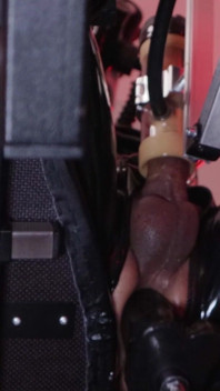 Self-programmed Gimp [moment]