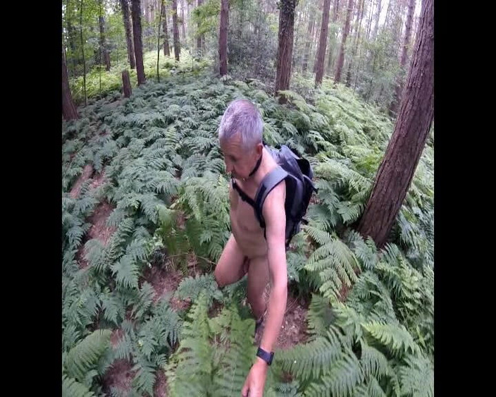 Andy: Doar o plimbare prin pădure