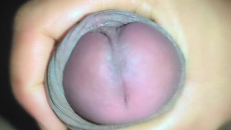 Rajarani78: 达桑的欢乐时光