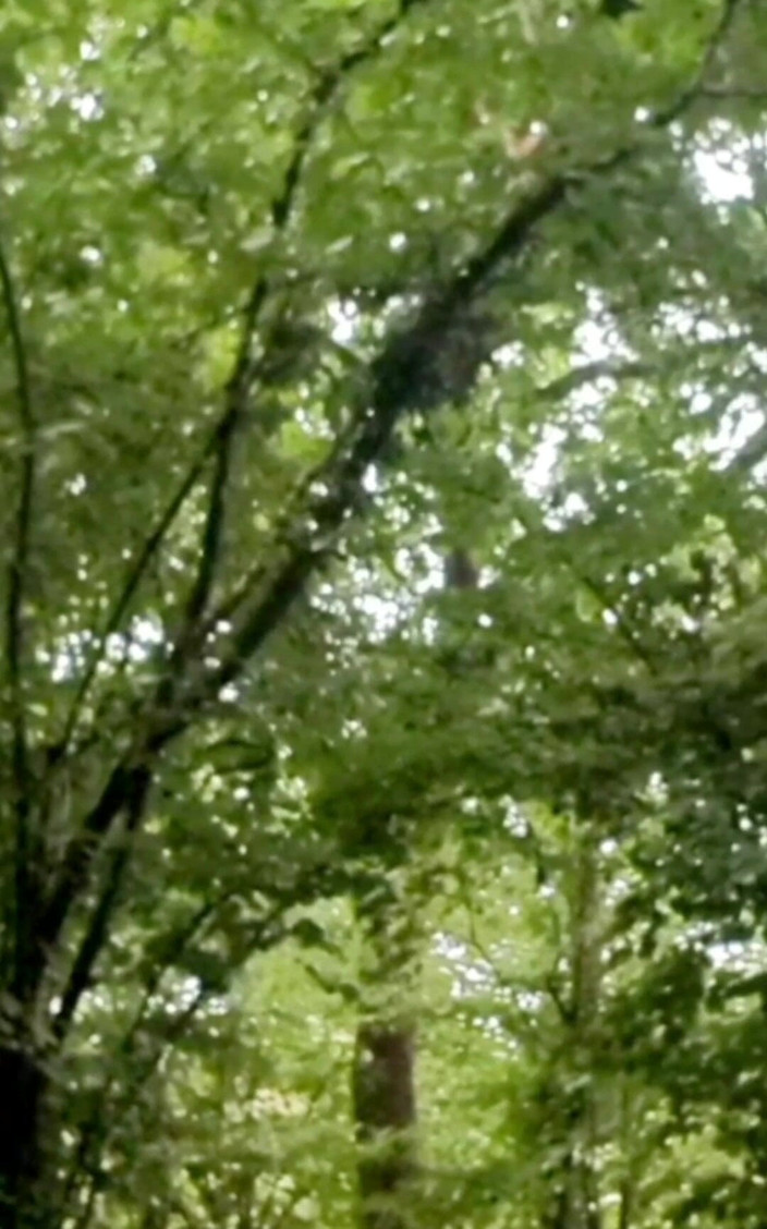 MaleModel: Camping Butt Boked