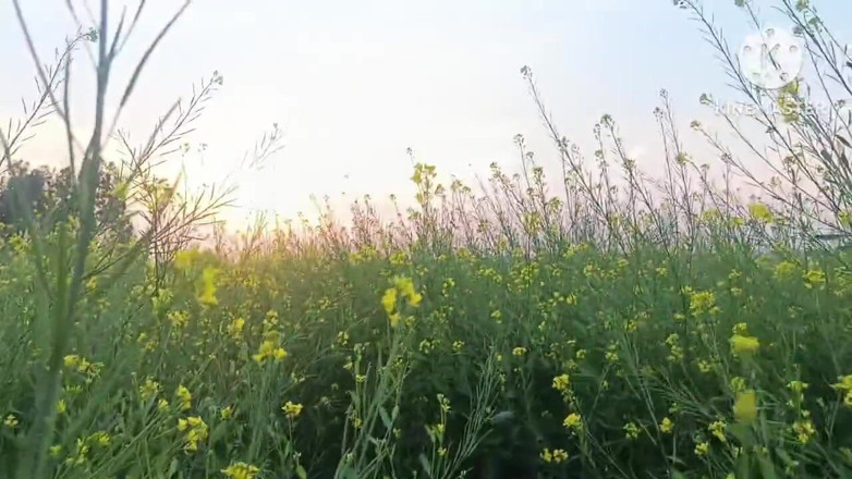 Savita5343: ตอนที่ 2 เย็ดกัน outdoor เดวาร์กับภรรยาพี่ชาย ท่าหมา