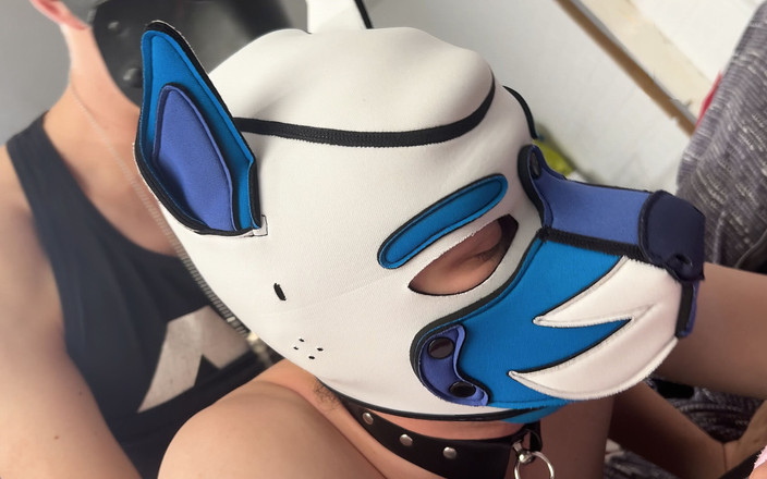 Project Y studios: Tight Femboy