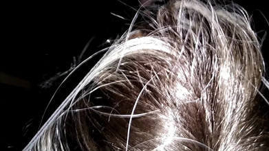 Sexsicouple: साझा रंडी पत्नी दोस्तों के साथ ग्लोरीहोल केबिन में मजा ले रही है