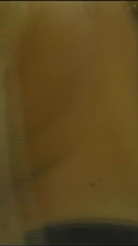 Sloppy Rimjob and Anal Fuck