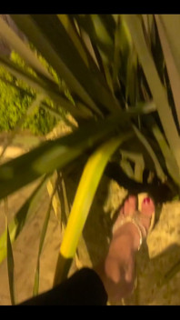 My Feet