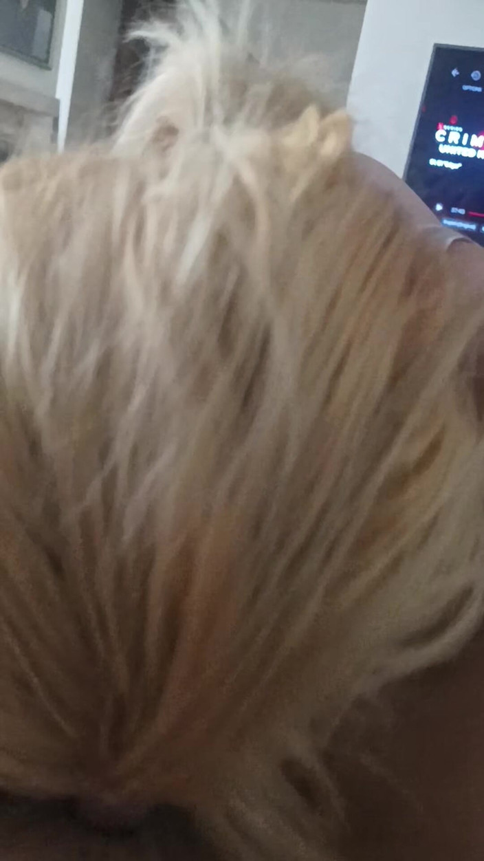 vuana: 业余妻子吮吸大鸡巴深喉口交