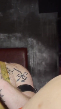 Zrzavý medvěd naštvaný a fistovaný vousatým pánem