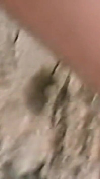 Una arrapata rossa si sditalina la figa in una spiaggia selvaggia