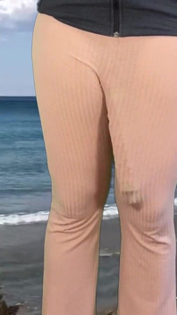 Huge Cock Shemale Cum Beach House