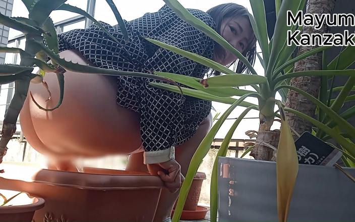 Mayumi Kanzaki: Urinar Em Uma Planta Em Vaso