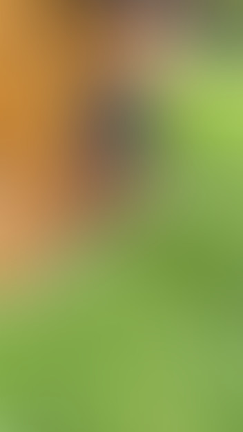 Locked due to age restriction