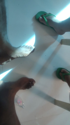 PABLO N3GROBAR: Pessoal colombiana limpadora de pés