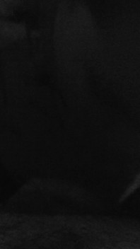 Mia Moglie Mi Fa Un Pompino. Abbiamo Dove Provare Una Nuova Fotocamera 4K