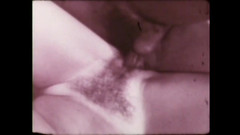 The Unforgettable: Babi Menghisap Seksi