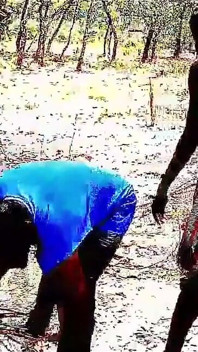 Ce couple du village adore chevaucher, sucer, étirer la chatte d’une MILF à grosse bite noire, après le travail à la ferme