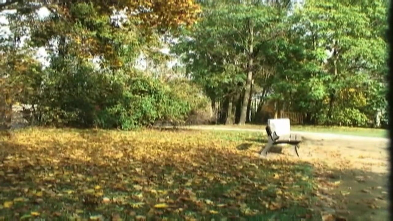 XXXEROTICONLY: 십대는 공원에서 섹스하고 입에 물총을 뿜었습니다.