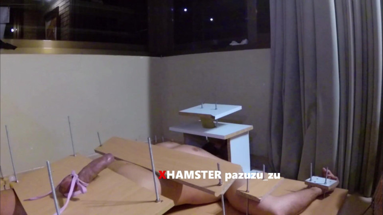 Pazuzu_zu: Amateur CFNM femdom cbt handjob with tied cock. Ruined orgasm