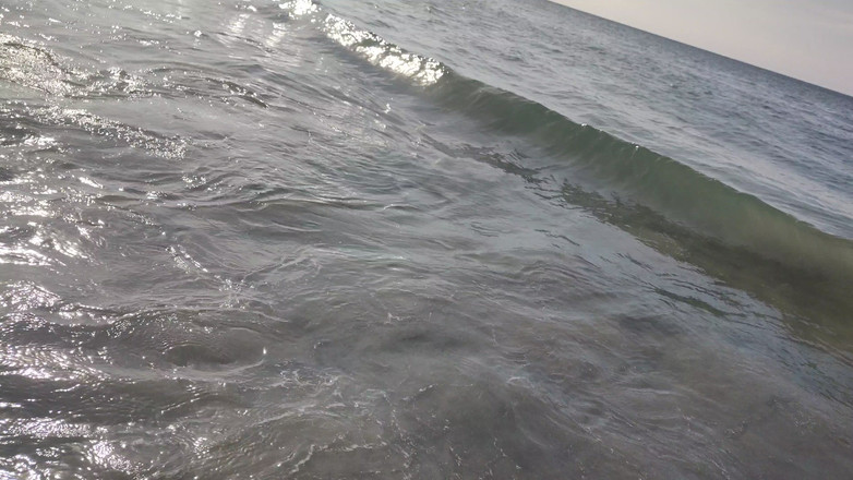 LiL Latin Goddess: Bts 블루퍼 오픈 오션 포토샷