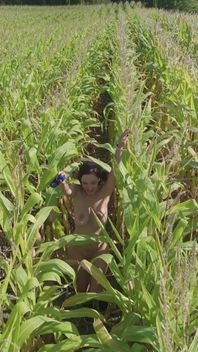 Corn Field Naked Run