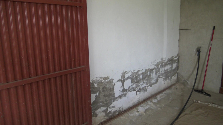 Souzan Halabi: Cô vợ Ả Rập ngoại tình