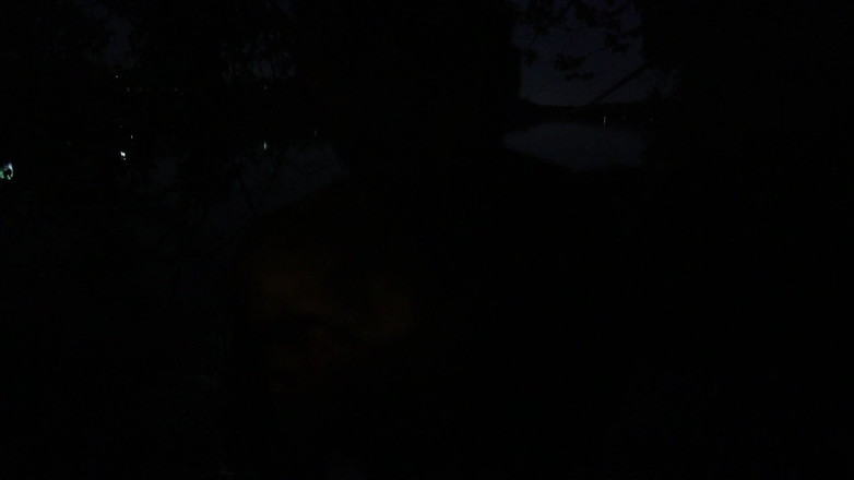 barenakedboy: Flexionándose y masturbándose en la noche junto al lago