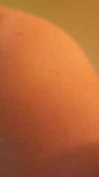 Sexe avec ton ex fou