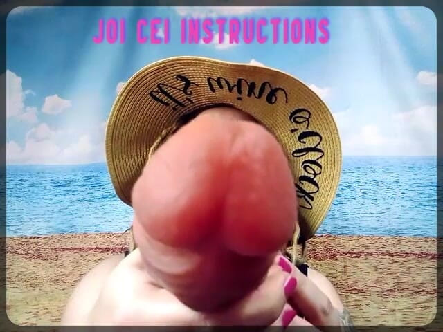Campsissyboi: JOI CEI pokyny Camp Sissy Boi verze