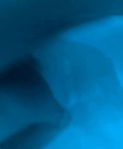 Sissy slave Sylvia: Stream spuštěn