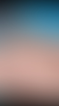 2963851412